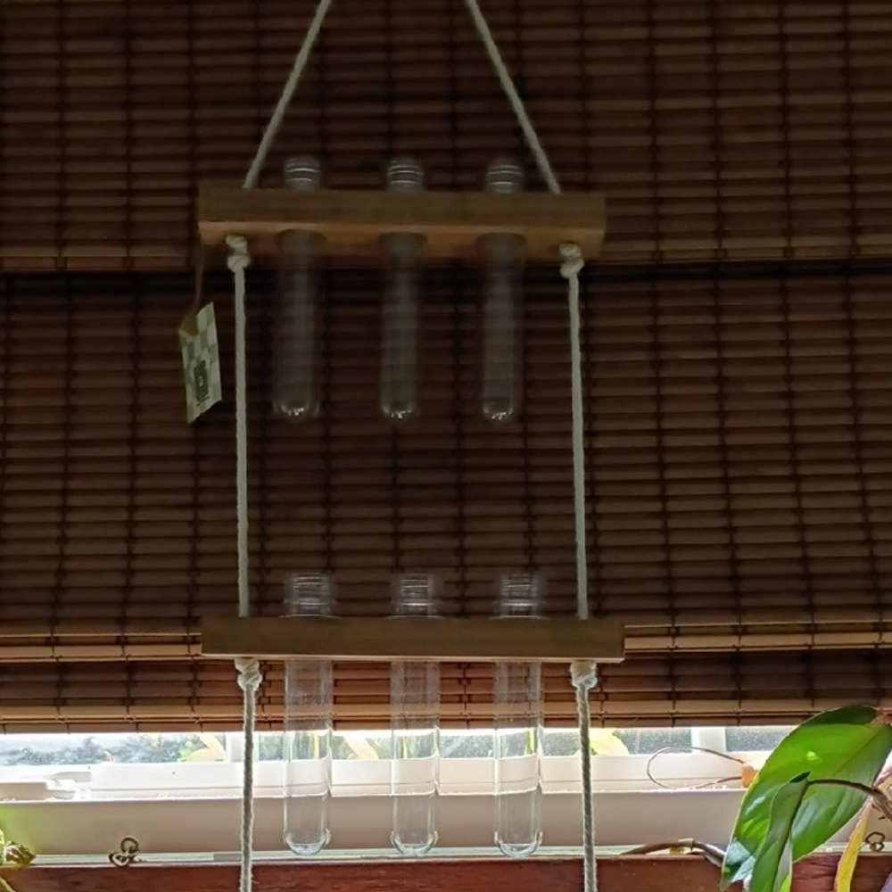 Propagation Hanging Wooden Test Tube Vase Holder